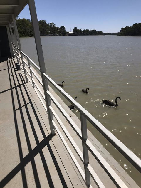 Murray River Queen - Kingaroy Accommodation 7