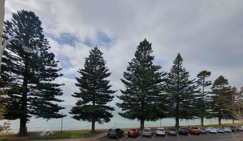 Pier Hotel Port Lincoln - Kingaroy Accommodation 12