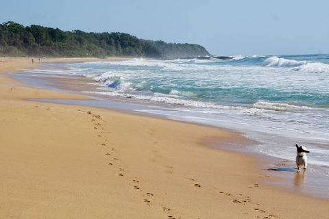 Culburra Beachhouse - Kingaroy Accommodation 7