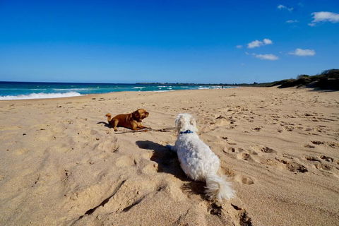 Culburra Beachhouse - Kingaroy Accommodation 8