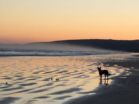 Goolwa Marinerâ€™s Cottage - Free Wifi And Pet Friendly - Centrally Located In Historic Region - Kingaroy Accommodation 35