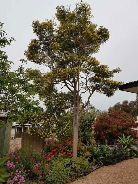 Sinclair Cottage - Kingaroy Accommodation 25