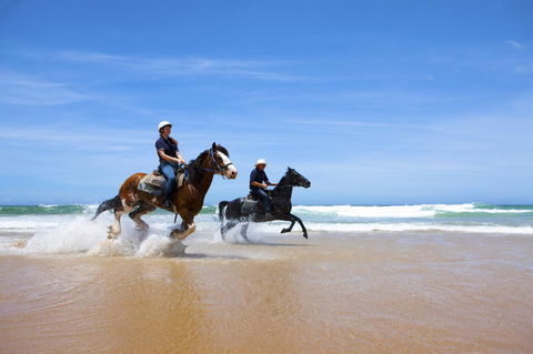 One Mile Retreat - Kingaroy Accommodation 26