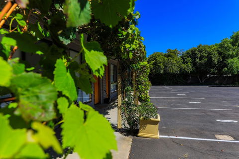 Country Roads Motor Inn Naracoorte - Kingaroy Accommodation 16