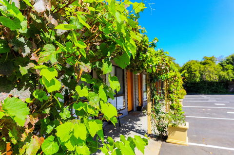 Country Roads Motor Inn Naracoorte - Kingaroy Accommodation 18