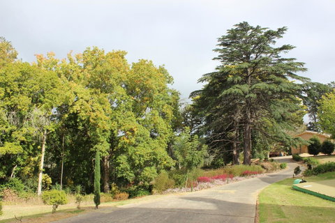 Pirralilla Estate Adelaide Hills - Kingaroy Accommodation 17