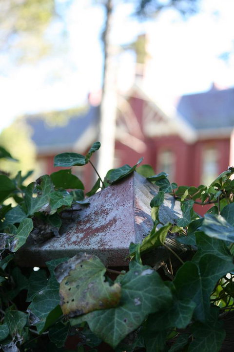 Pirralilla Estate Adelaide Hills - Kingaroy Accommodation 27