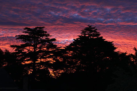 Pirralilla Estate Adelaide Hills - Kingaroy Accommodation 26