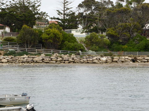 Island Motel Kingscote - Kingaroy Accommodation 4