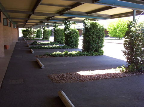 The Wine Vine Hotel - Kingaroy Accommodation 17