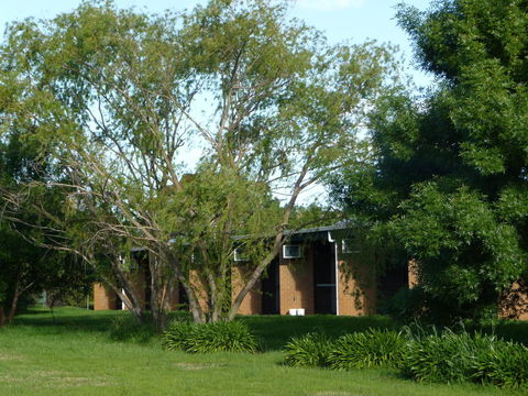 The Wine Vine Hotel - Kingaroy Accommodation 18