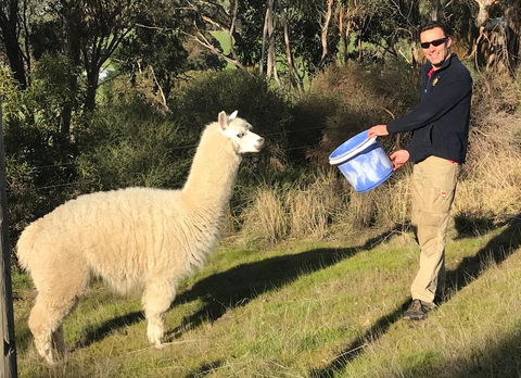 Cabernet Cottage - Kingaroy Accommodation 15
