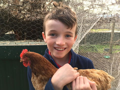 Cabernet Cottage - Kingaroy Accommodation 14