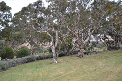 Cabernet Cottage - Kingaroy Accommodation 8