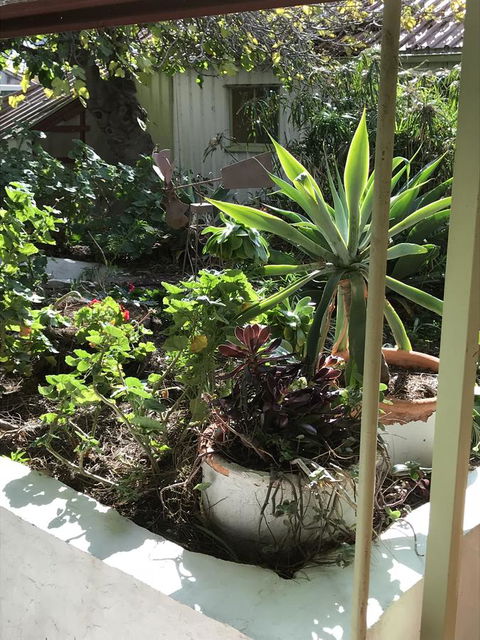 Cosy Nook - Kingaroy Accommodation 19