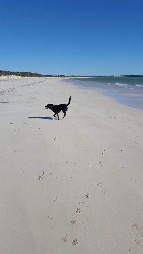 Cosy Nook - Kingaroy Accommodation 39