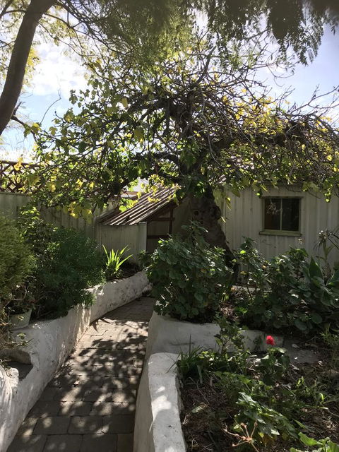 Cosy Nook - Kingaroy Accommodation 18