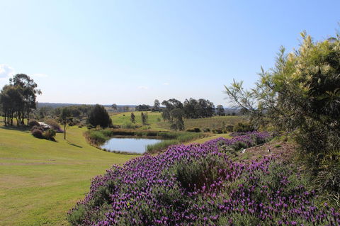 Beltana Villas - Kingaroy Accommodation 7