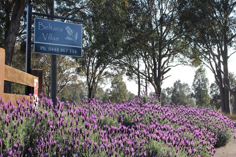 Beltana Villas - Kingaroy Accommodation 10