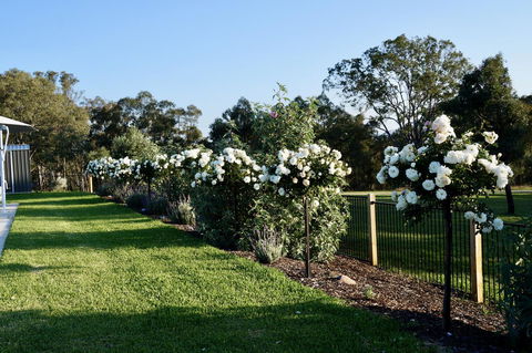 Beltana Villas - Kingaroy Accommodation 2