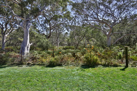 Wildwood I Pet Friendly I 5 Mins To Beach - Kingaroy Accommodation 17