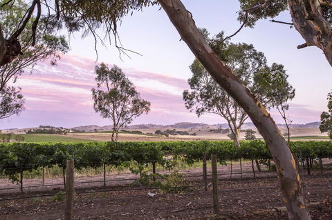 Jasmine\'s Barossa Valley Cottage - Kingaroy Accommodation 19