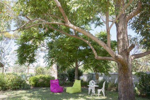 Jasmine\'s Barossa Valley Cottage - Kingaroy Accommodation 18