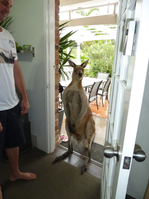 Aston Motel Yamba - Kingaroy Accommodation 10
