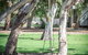 South Shores Trevally Villa 38 - South Shores Normanville - thumb 3