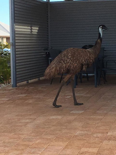 Escape 2 Exmouth - Kingaroy Accommodation 15
