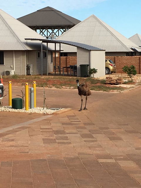 Escape 2 Exmouth - Kingaroy Accommodation 16