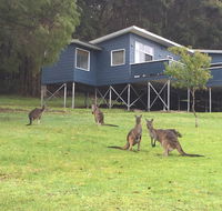 Blue House Denmark - Kingaroy Accommodation