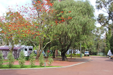 Margaret River Tourist Park - Kingaroy Accommodation 43