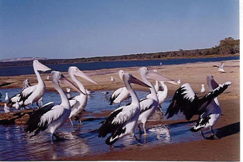 Unit 42 Kalbarri Beach Resort - Kingaroy Accommodation 17