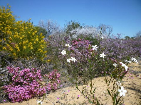 Unit 42 Kalbarri Beach Resort - Kingaroy Accommodation 26