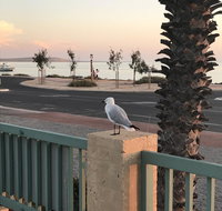 Shark Bay Seafront Apartments - Kingaroy Accommodation