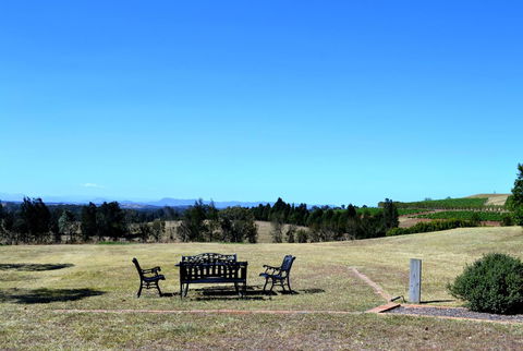 Grapevines Boutique Accommodation - Kingaroy Accommodation 18