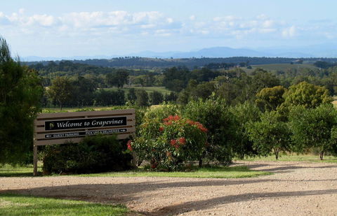 Grapevines Boutique Accommodation - Kingaroy Accommodation 15