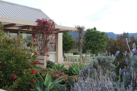 Grapevines Boutique Accommodation - Kingaroy Accommodation 28
