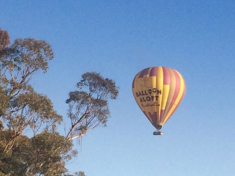 Grapevines Boutique Accommodation - Kingaroy Accommodation 12