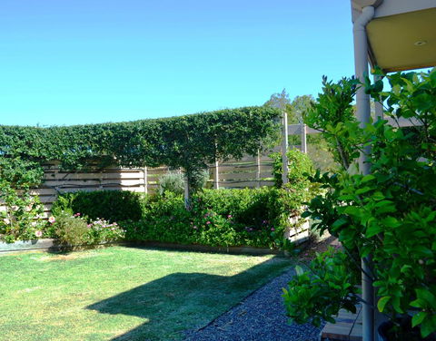 Grapevines Boutique Accommodation - Kingaroy Accommodation 14