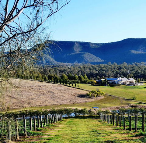 Grapevines Boutique Accommodation - Kingaroy Accommodation 5