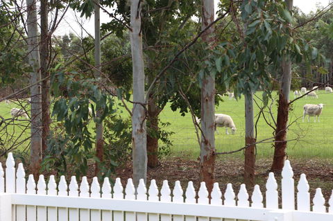 Sapphire Chalets, Augusta - Kingaroy Accommodation 9
