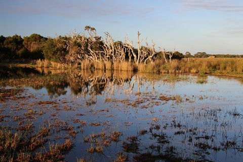 Sapphire Chalets, Augusta - Kingaroy Accommodation 13