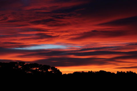 Sapphire Chalets, Augusta - Kingaroy Accommodation 15