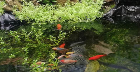 Perth Lake Side Lodge - Kingaroy Accommodation 17