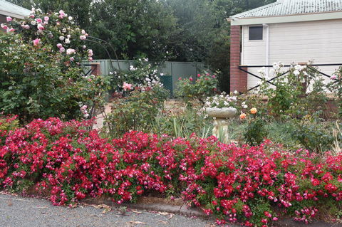 Mount Barker Valley Views Motel & Chalets, Western Australia - Kingaroy Accommodation 27