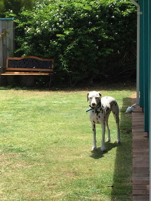 Beachside Prevelly Villas - Kingaroy Accommodation 31