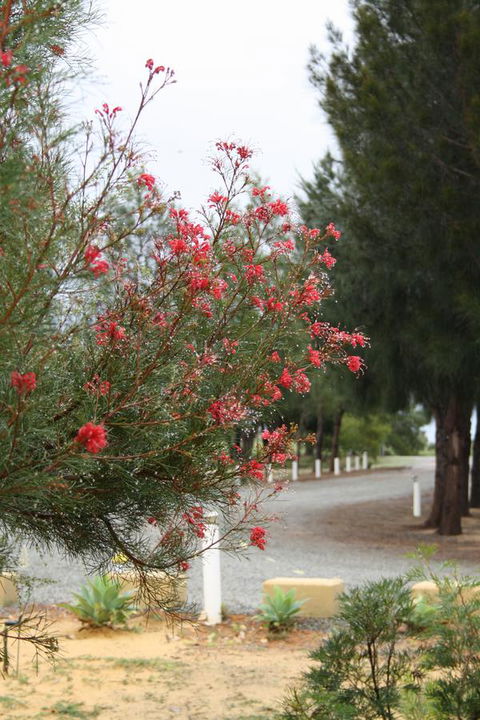 The Heights Bed & Breakfast - Kingaroy Accommodation 0