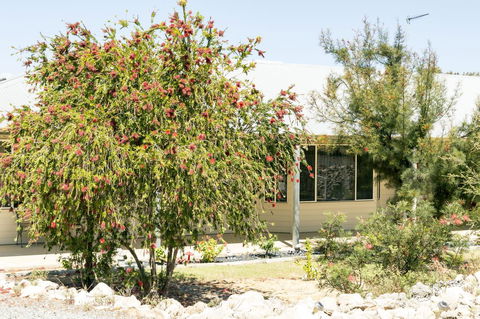 The Heights Bed & Breakfast - Kingaroy Accommodation 15